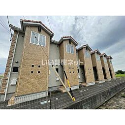 チェリーブロッサム