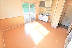 ビジュービスタ　III棟 205 2階ワンルームのリビング/ダイニング