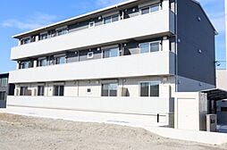 ヴィクトリア エディ 203