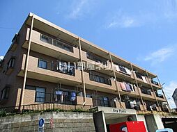 サンフローラ 205