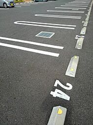 2 / 2