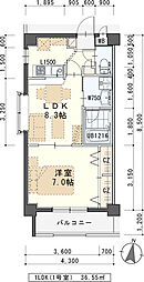 パークシティー 1LDKの間取図画像