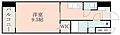 レクシア フラッツ桜町6階6.2万円