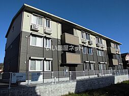 ピースコート  プラグレス 305