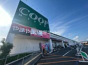 【スーパー】みやぎ生協岩沼店まで863ｍ