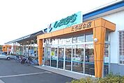 【スーパー】しまむらストアー たちばな店まで1187ｍ