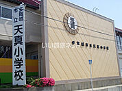 【小学校】多賀城市立天真小学校まで979ｍ