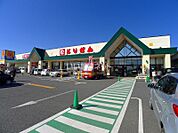 【スーパー】とりせん館林富士見町店まで1300ｍ