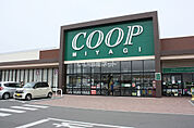 【スーパー】COOP MIYAGI荒井店まで1806ｍ