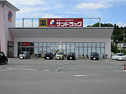 【ドラッグストア】サンドラッグ 篠山店まで1106ｍ