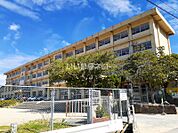 【小学校】坪生小学校まで1271ｍ