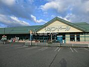 【スーパー】リオンドール門田店まで580ｍ