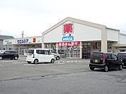 【ドラッグストア】ウエルシア静岡高松店まで516ｍ
