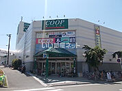 【スーパー】COOP MIYAGI(みやぎ生協) 黒松店まで670ｍ