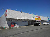【ドラッグストア】スギドラッグ 飯村店まで1126ｍ