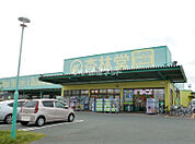 【ドラッグストア】杏林堂ドラッグストア 白羽店まで28ｍ