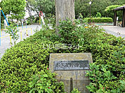 【公園】あざみ野西公園まで1786ｍ