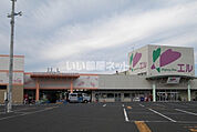 【スーパー】フーズマーケットホック 大社店まで787ｍ