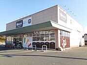 【生活雑貨店】ワッツ 井原ハローズ店まで450ｍ