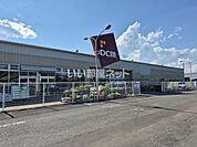 【ホームセンター】DCM白石店まで2310ｍ