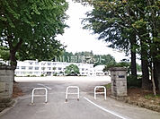 【小学校】川崎町立川崎小学校まで208ｍ