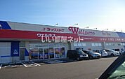 【ドラッグストア】ドラッグストアウェルネス 下古志店まで775ｍ