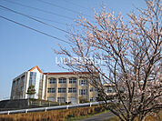 【中学校】山口市立二島中学校まで513ｍ