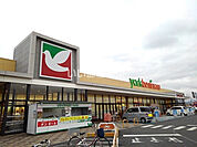 【スーパー】ヨークベニマル筑西横島店まで664ｍ