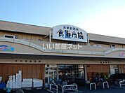 【スーパー】食遊市場まで1561ｍ
