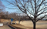 【公園】広見公園まで751ｍ