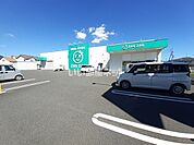 【ドラッグストア】ZAG ZAG(ザグザグ) 東一宮店まで947ｍ