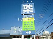 【ドラッグストア】ライフォートまで489ｍ