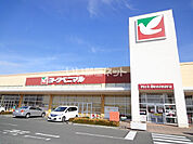 【スーパー】ヨークベニマルひたちなか店まで926ｍ