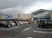 【スーパー】綿半スーパーセンター　中野店まで4405ｍ