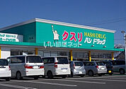 【ドラッグストア】ハシドラッグ福島中央店まで311ｍ