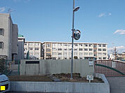 【小学校】岐阜市立島小学校まで1284ｍ