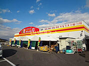 【ホームセンター】ダイレックス鹿島店まで4716ｍ