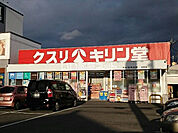 【ドラッグストア】キリン堂 ドラッグ交野店まで622ｍ