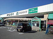 【スーパー】サニー善導寺店まで318ｍ