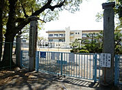 【小学校】碧南市立鷲塚小学校まで3486ｍ