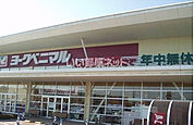 【スーパー】ヨークベニマル中郷店まで1259ｍ