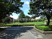 【公園】若里公園まで978ｍ