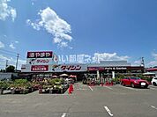 【ホームセンター】ダイシン　柳生店まで216ｍ