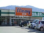 【スーパー】マミー　二枚橋店まで784ｍ