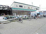 【スーパー】かしわで（農産物直売所）まで766ｍ