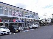 【ドラッグストア】クリエイトＳＤ　北柏店まで802ｍ