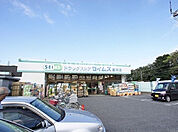 【ドラッグストア】ドラッグセイムス　運河店まで1243ｍ