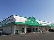 【ドラッグストア】ザグザグ　白石店まで920ｍ