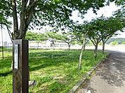 【小学校】可児市立東明小学校まで1533ｍ