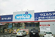 【ドラッグストア】ウエルシアさいたま大和田店まで754ｍ